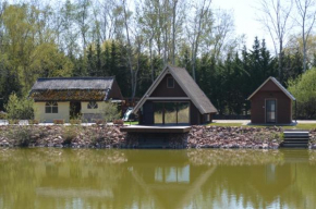 Hotels in Vámosszabadi